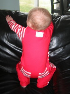 bumkins-bum bumkins-bum
