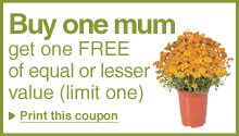 Home Depot Garden Coupons Home Depot Garden Coupons